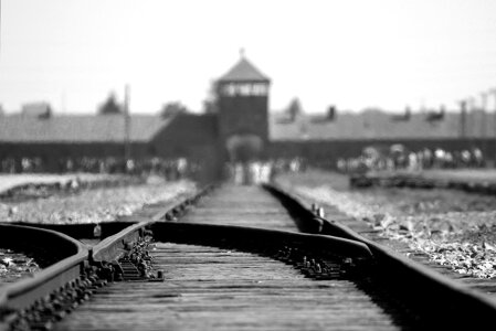 Tout savoir sur l'Holocauste