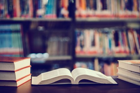 Complément du nom : définition et exemples