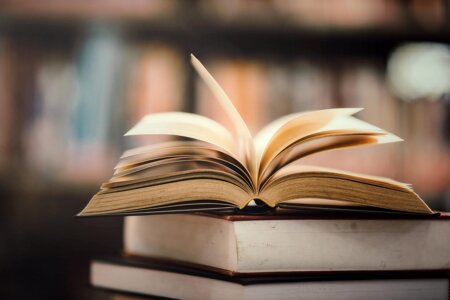 Apprendre l'Histoire en s'amusant par la lecture