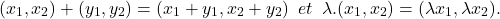 \[(x_1,x_2) + (y_1,y_2) = (x_1+y_1,x_2+y_2)\enspace et\enspace \lambda.(x_1,x_2) = (\lambda x_1,\lambda x_2).\]