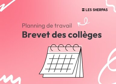 Planning de Révisions Brevet des Collèges