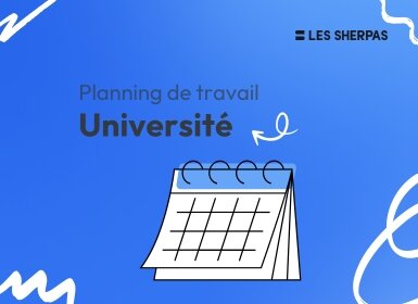 Planning de travail Université