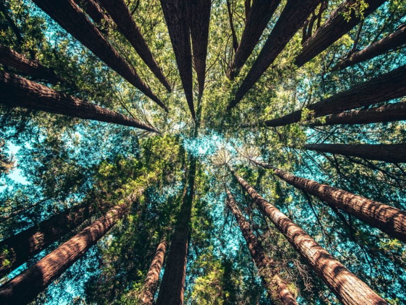 Comment être un lycéen écolo