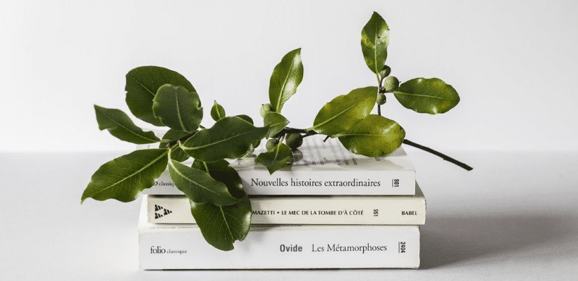 livres bibliographie de lete khagnes