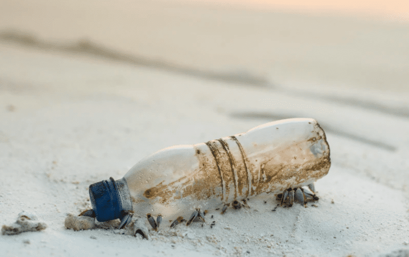 être étudiant et écolo