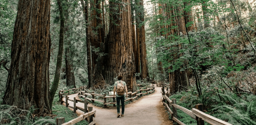 réorientation classe prépa 1ere annee