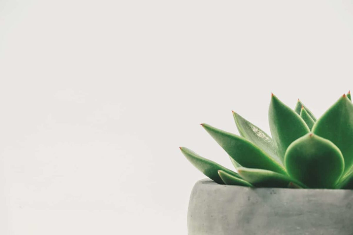 zen ou stressé : test