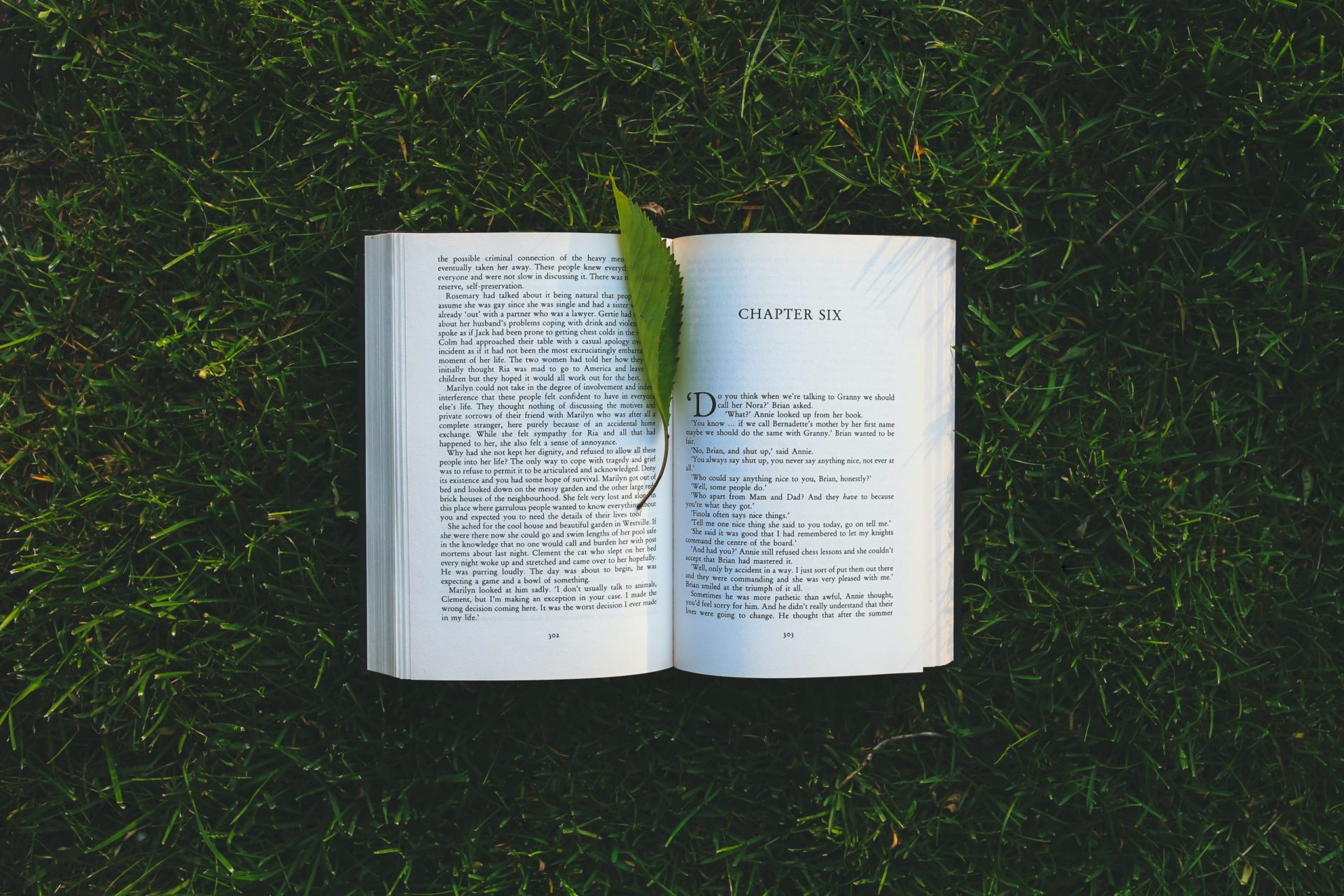 fiche de lecture barbe bleue