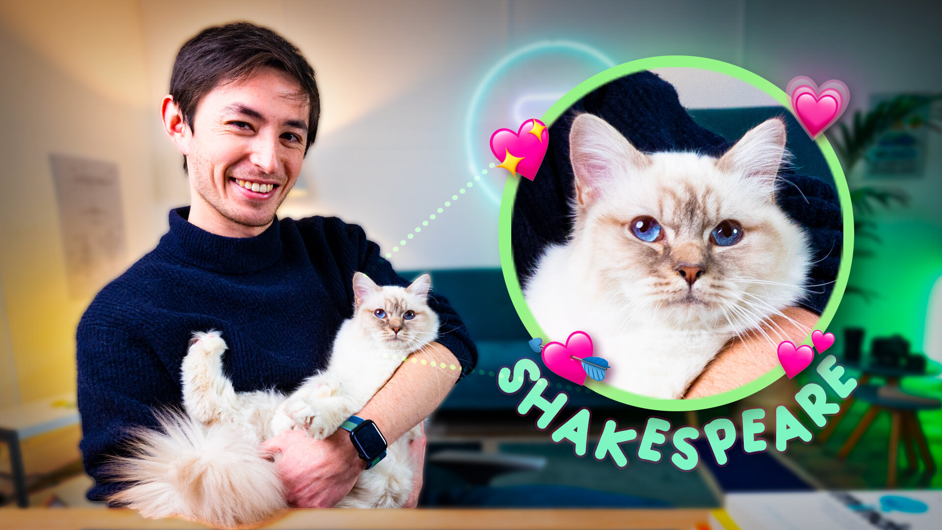 Les 5 leçons de vie que les chats nous ont apprises