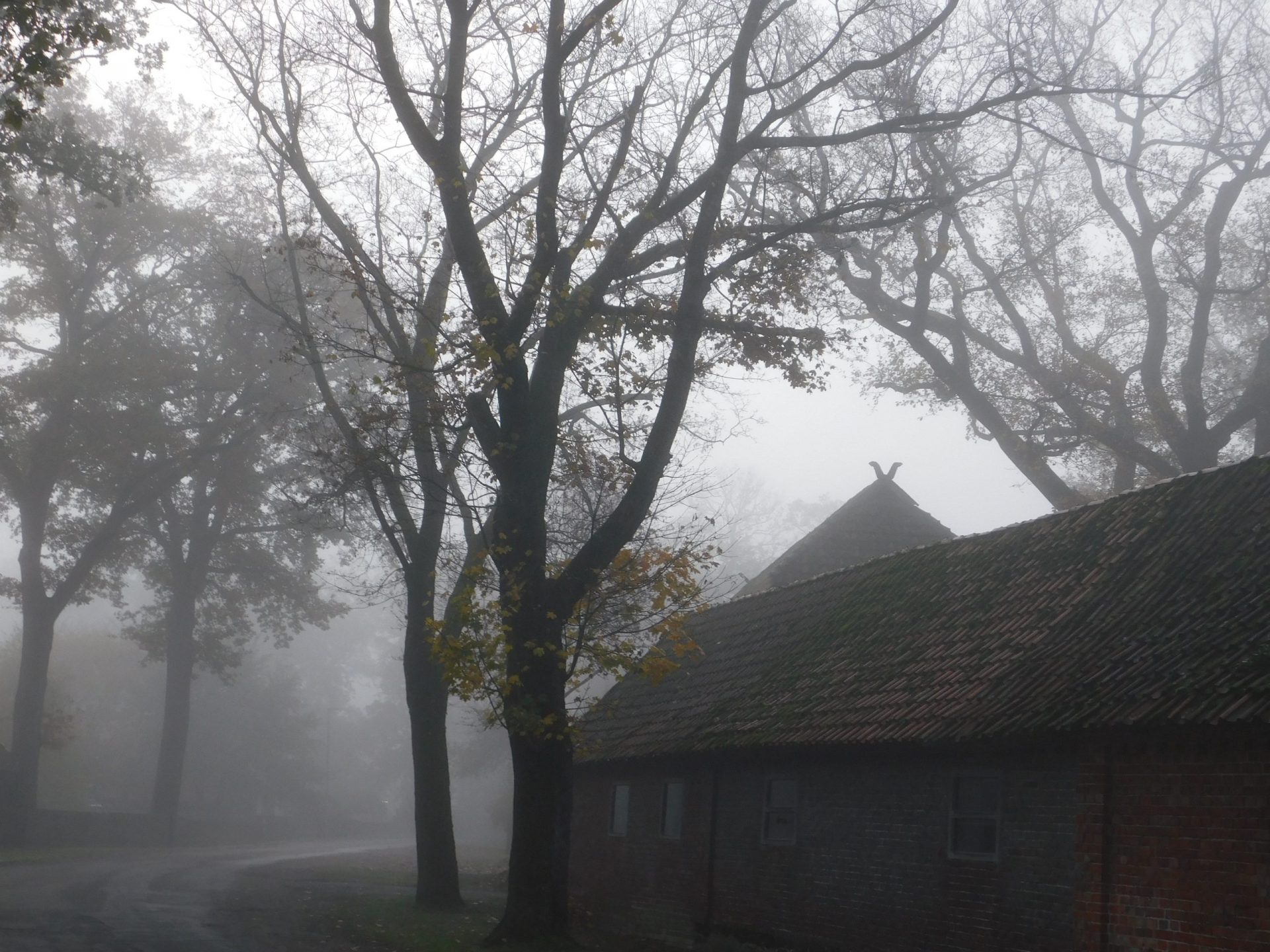 Le Horla de Maupassant