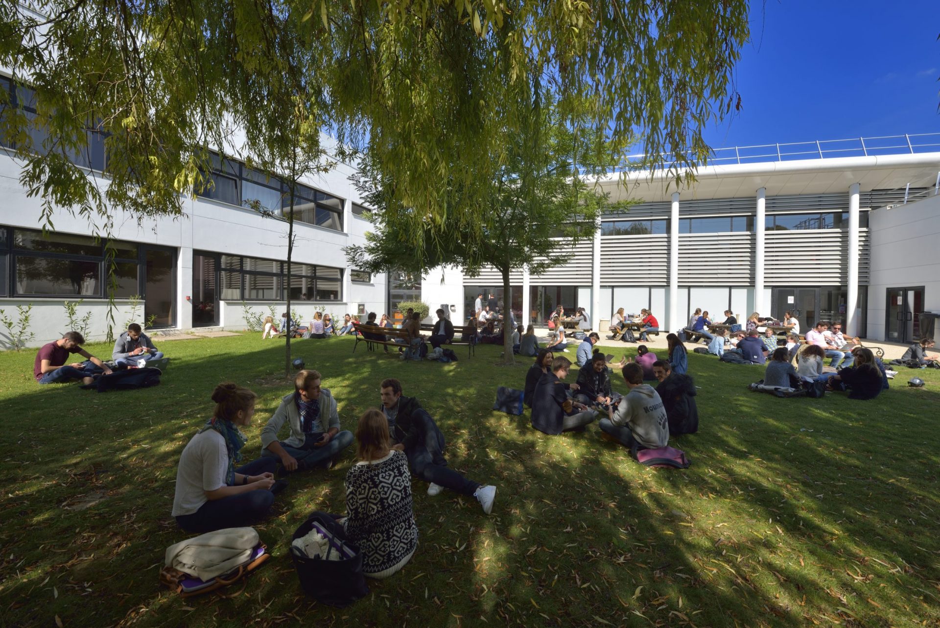 Neoma Business School