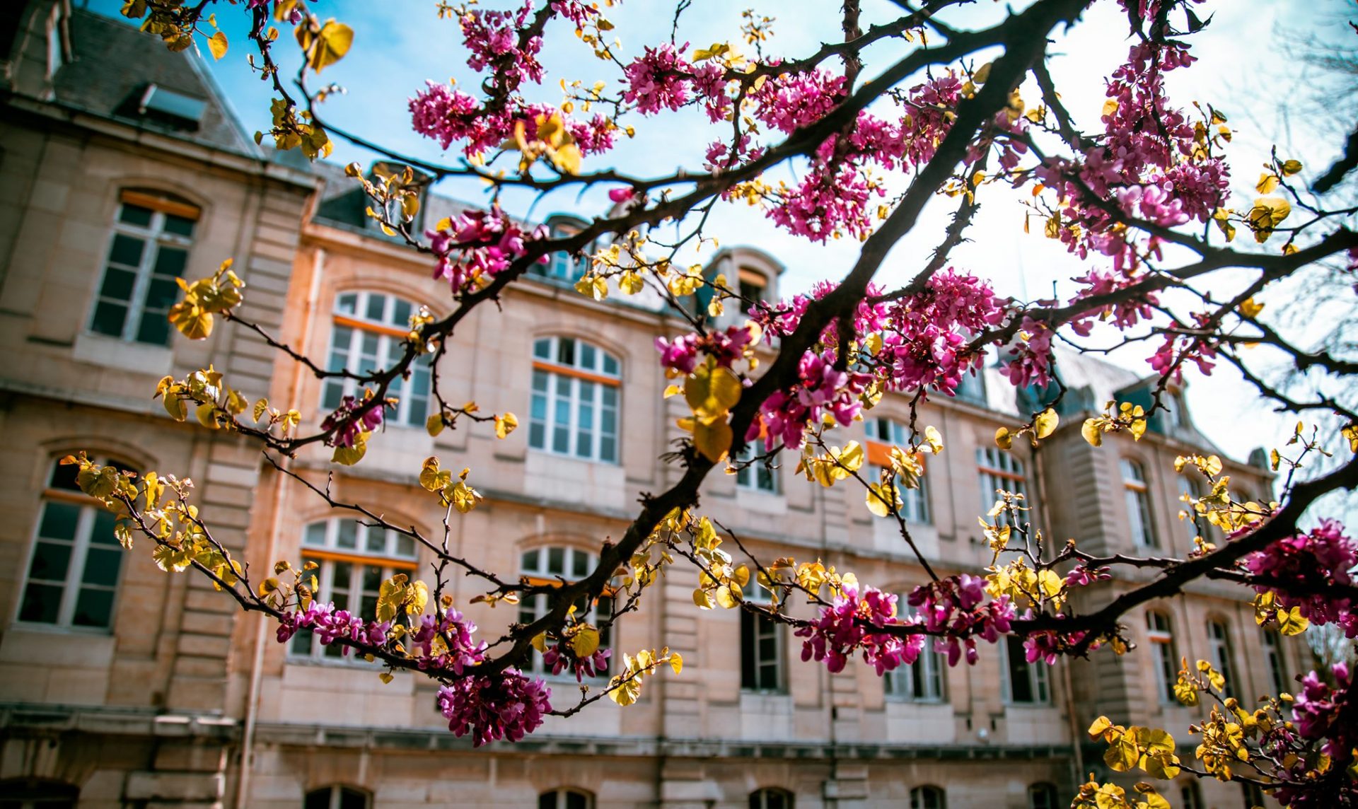 91534247_10158147817194084_5211131786431561728_n