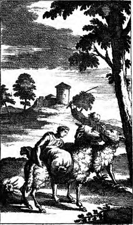 « Il y avait deux grands moutons rouges sellés et bridés pour leur servir de monture quand ils auraient franchi les montagnes » (chap. XVIII).
