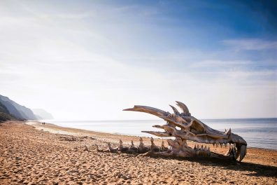 Les leçons politiques à retenir dans Game of Thrones ️