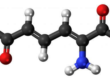 Comprendre le métabolisme