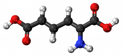 Comprendre le métabolisme 