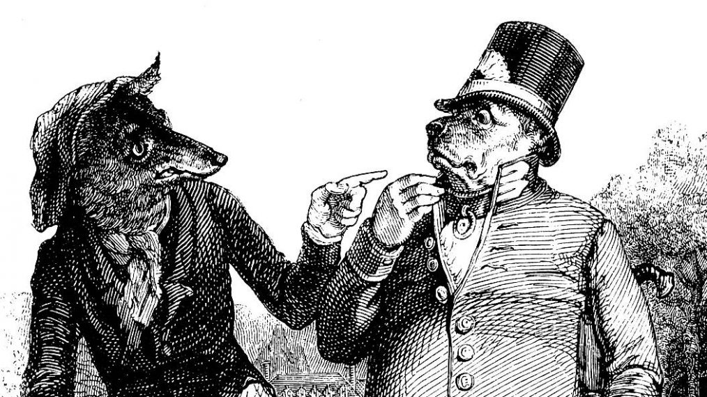 Image Le Loup et le Chien