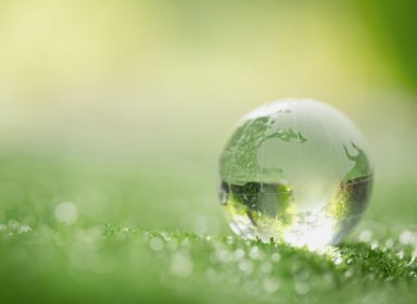 Fiche de cours : l’effet de serre