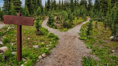 Reconversion professionnelle et étudiante : tous nos conseils pour la réussir en toute sérénité ! 