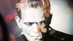 Frankenstein de Mary Shelley : fiche de lecture