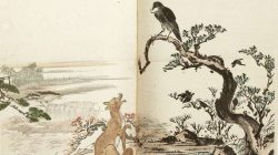 Le Corbeau et le Renard de La Fontaine : quand la vanité se fait piéger