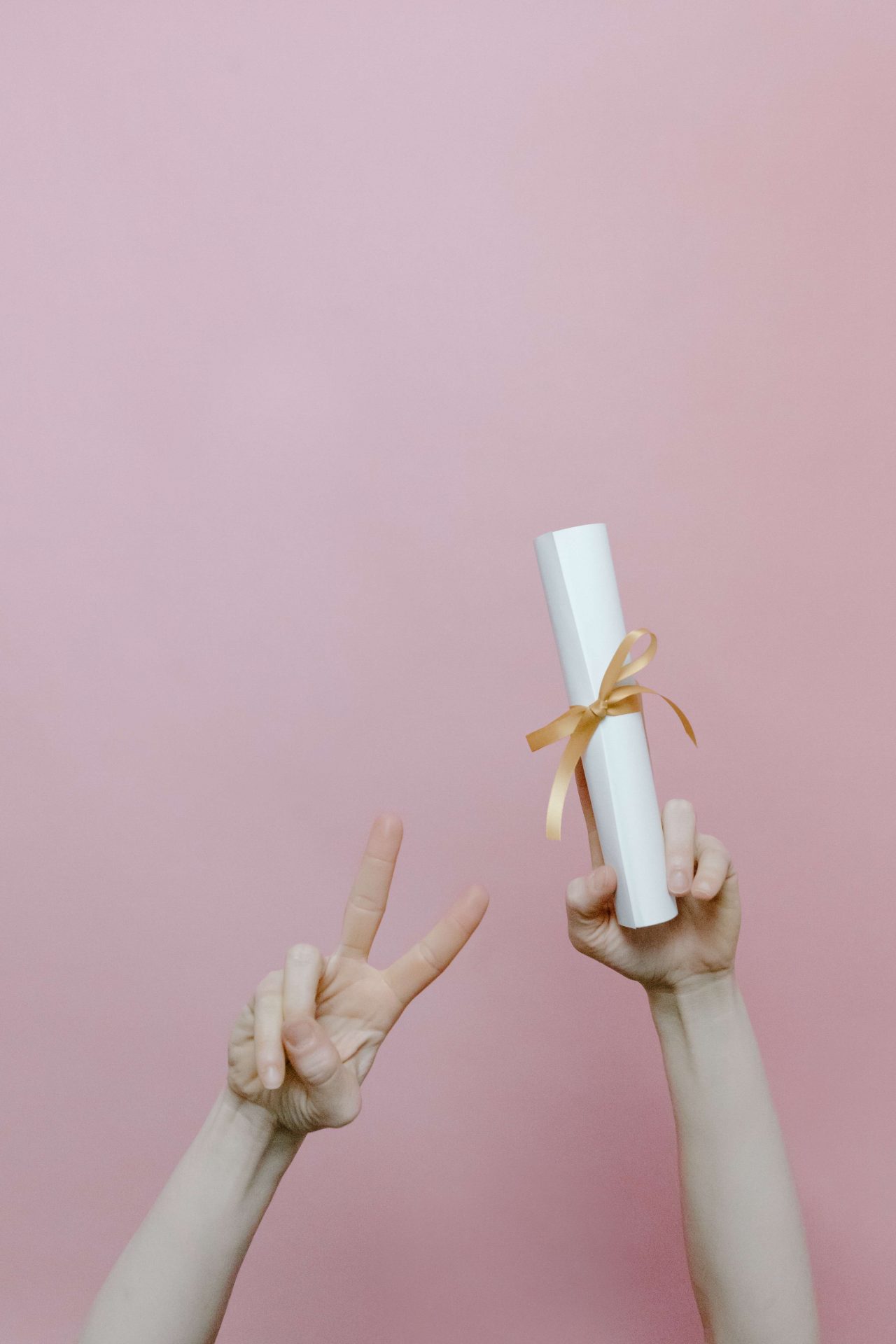 Diplômes & Formations