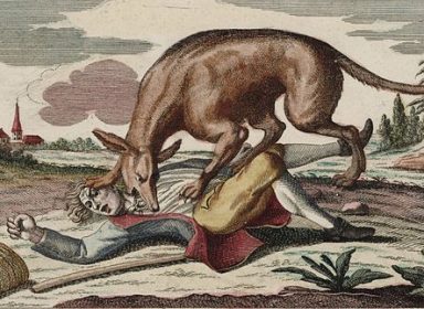 Bête du Gévaudan : quand légende frôle réalité