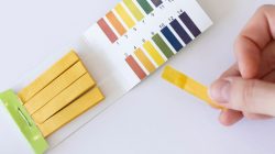 Acide ou basique, il faut choisir !