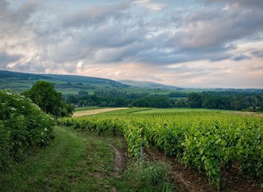 La véritable histoire des départements français