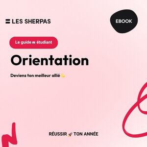 Guide Orientation 🛣️