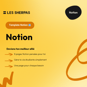 Template Notion 💻