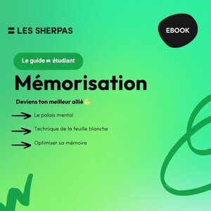 Guide Mémorisation 🧠