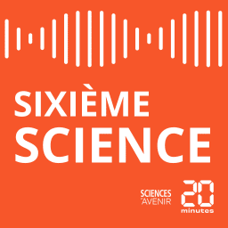 SixiĂšme Science